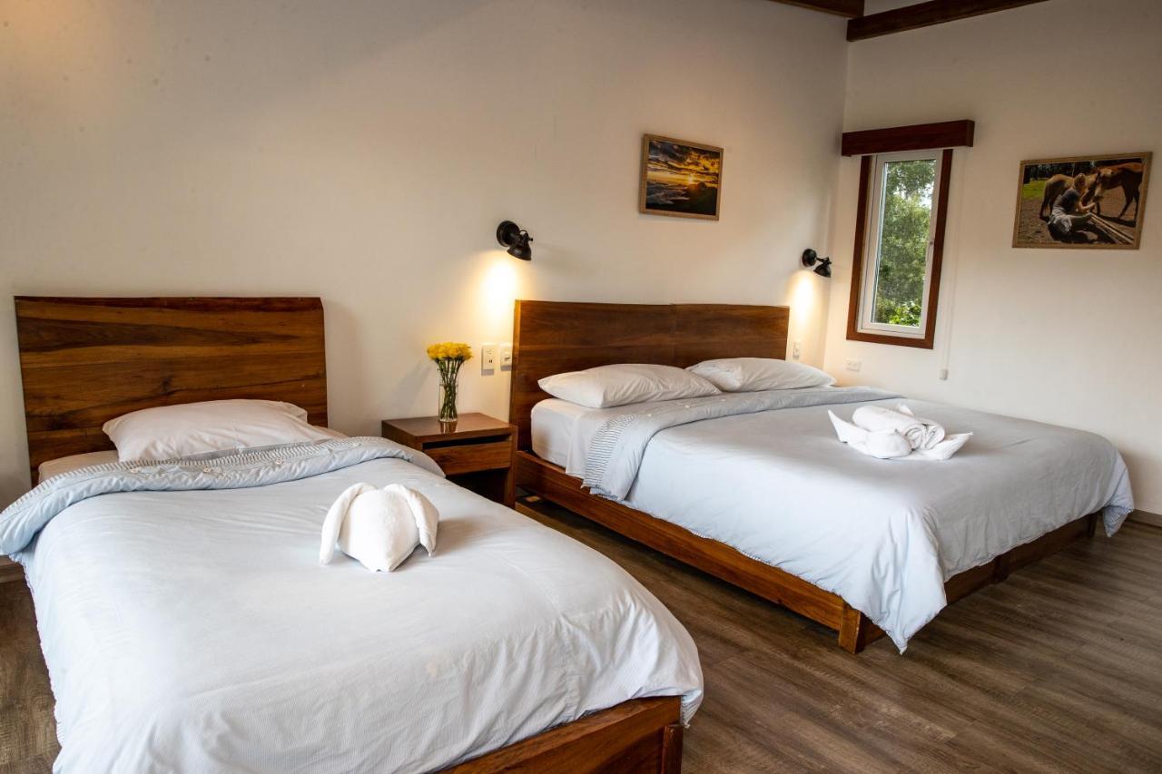 Hosteria Papagayo Cotopaxi Machachi Kültér fotó